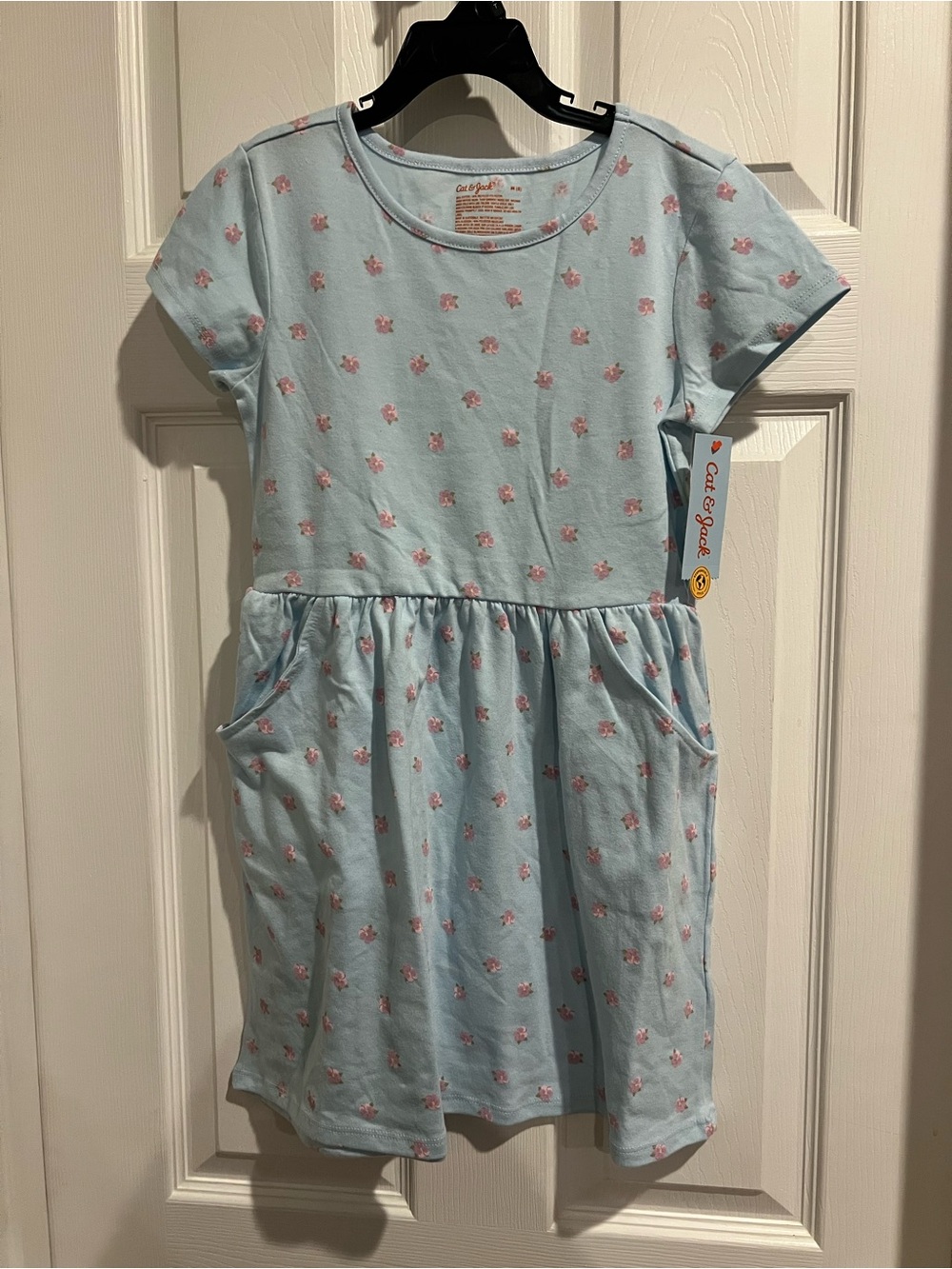 Cat & Jack Sky Blue Dress with Pink Floral Print and Pockets